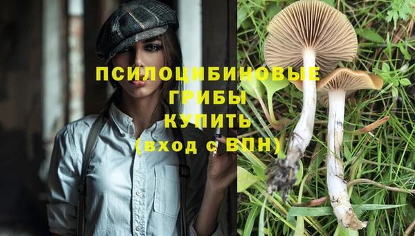стафф Верхнеуральск
