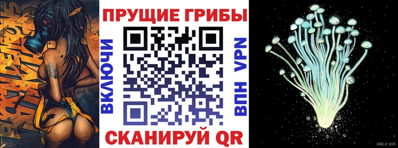Галлюциногенные грибы Cubensis  OMG онион  Ветлуга  закладки 